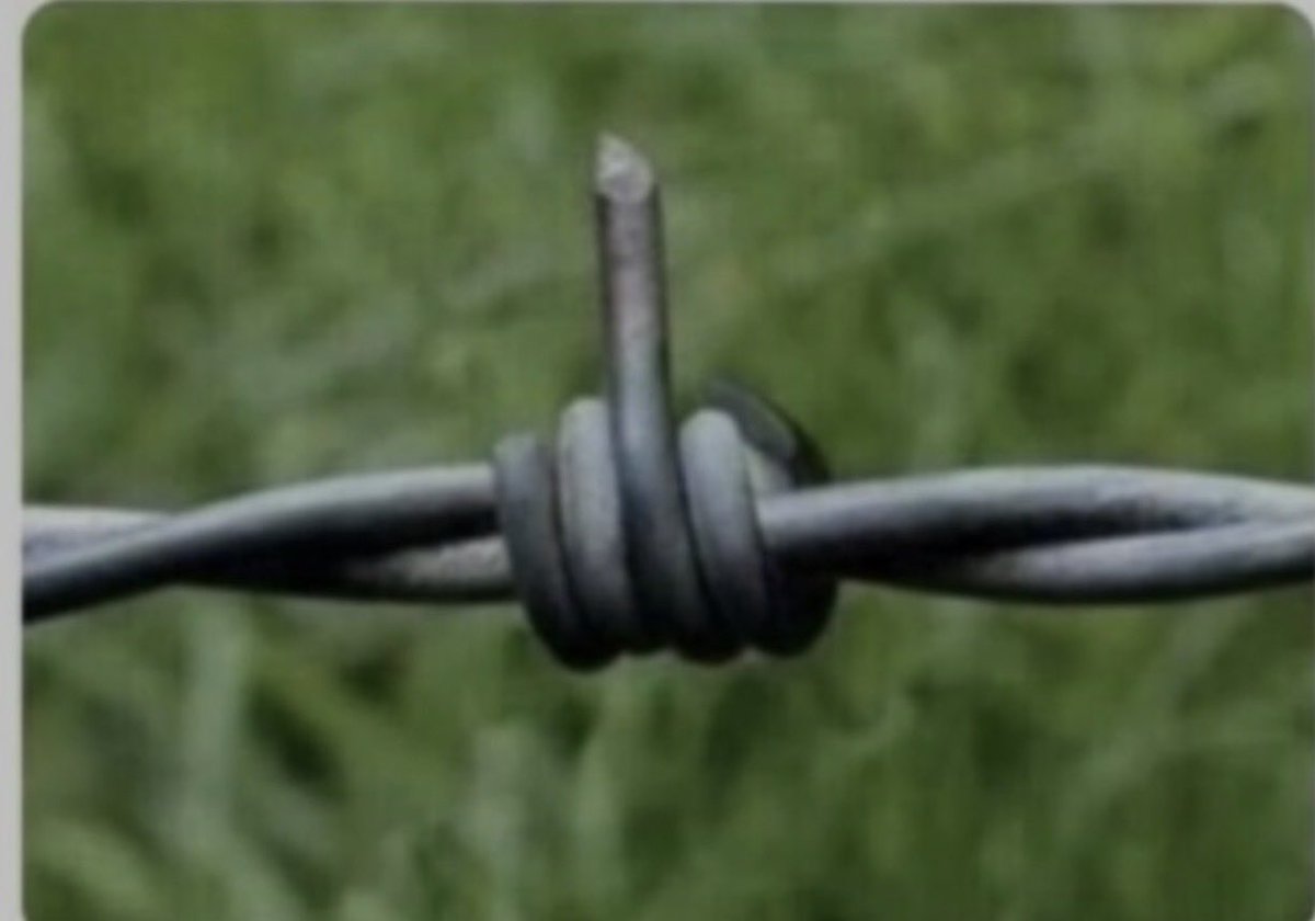 Elitists can BITE ME #GodSaveTexas 🏴󠁵󠁳󠁡󠁺󠁿 tweet media