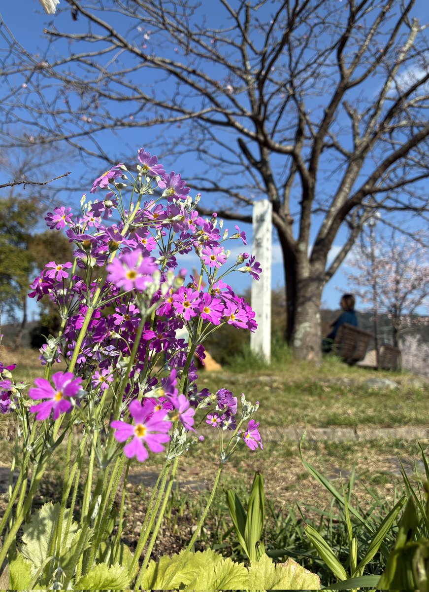 YWer_TKD's tweet photo. 帰路-かえりみち-

どんな刹那も
忘れたくない瞬間がある
大丈夫、を抱きしめて先を向く
#photopoem  #shinydrop https://t.co/PSbzGihY9q