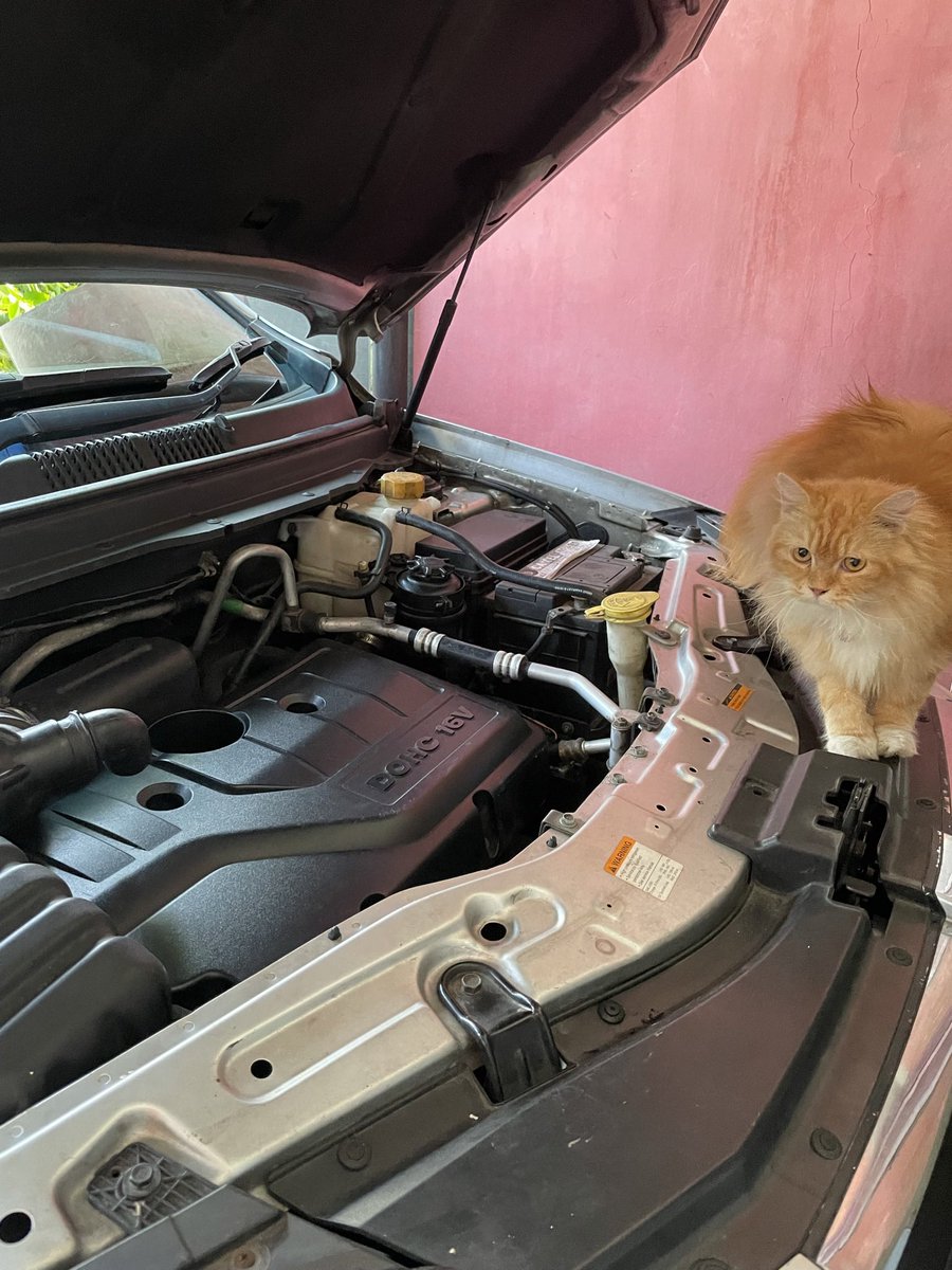 Bunga🌾 tweet media