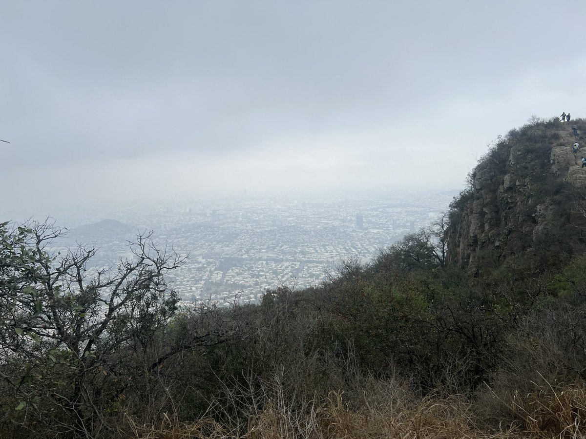 Lizzy D. Crown ~ Cosplay tweet media