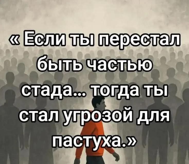 Sheff+Ukraina 🇫🇮🇺🇦 tweet media