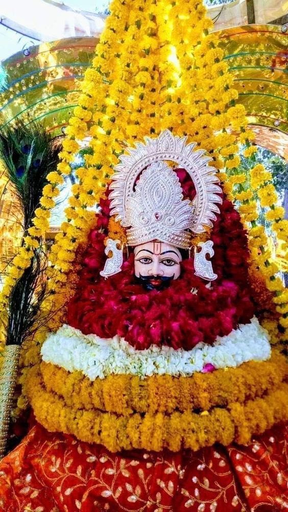 नेहा सिंह निरवाल ( संगठित भारत ) tweet media