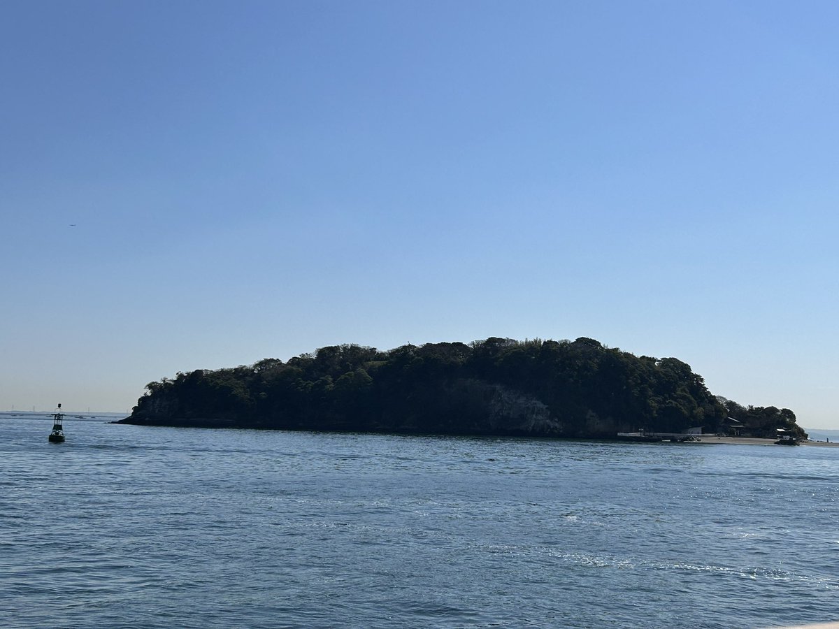 テスプレ tweet media