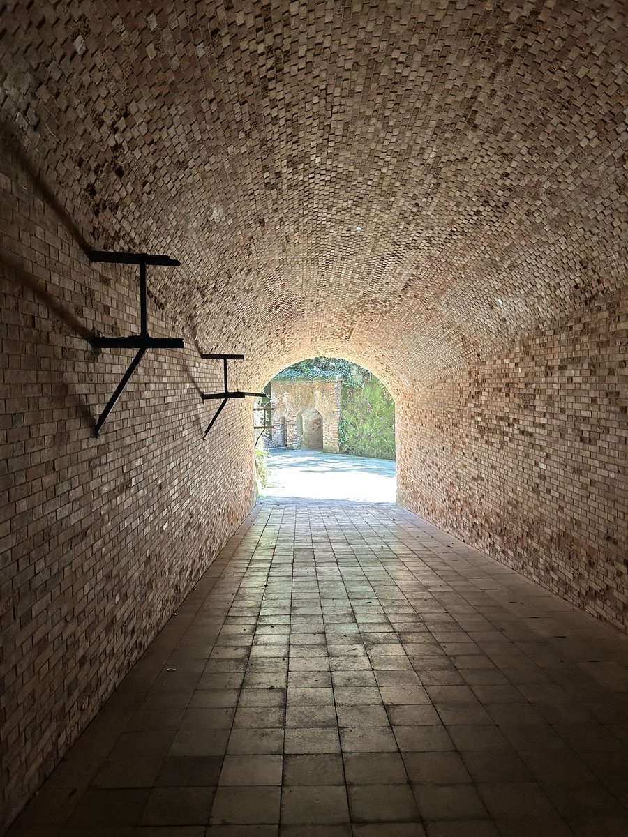 テスプレ tweet media