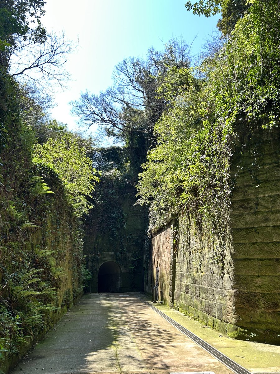 テスプレ tweet media