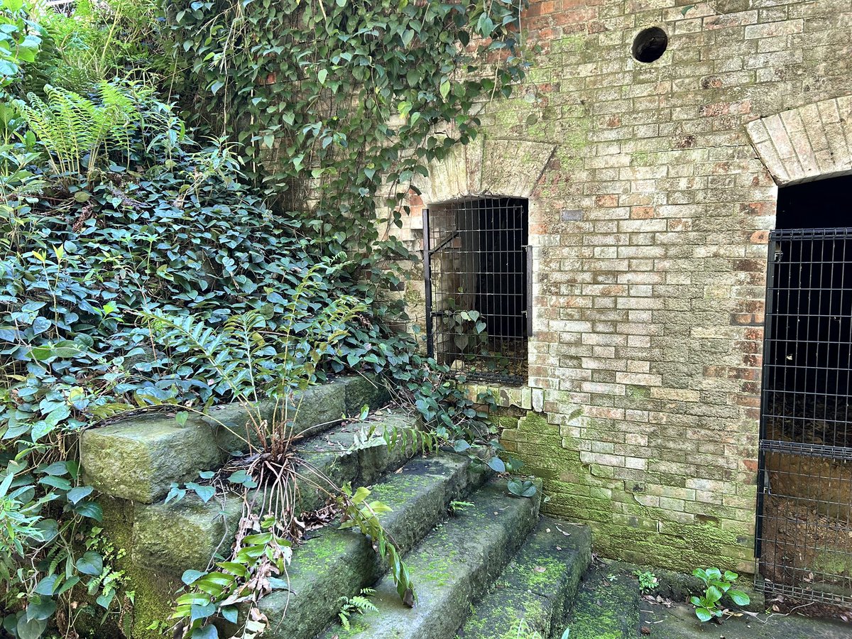 テスプレ tweet media