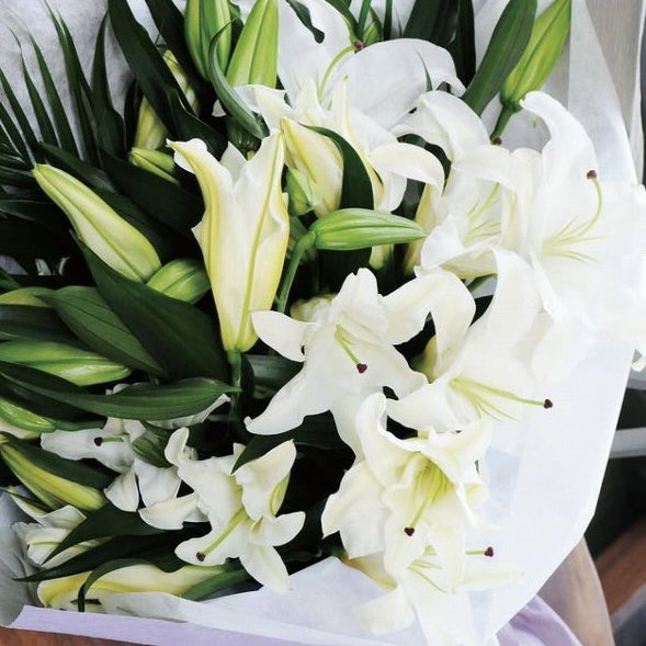 𝙼𝙰𝚃𝚂𝚄 tweet media