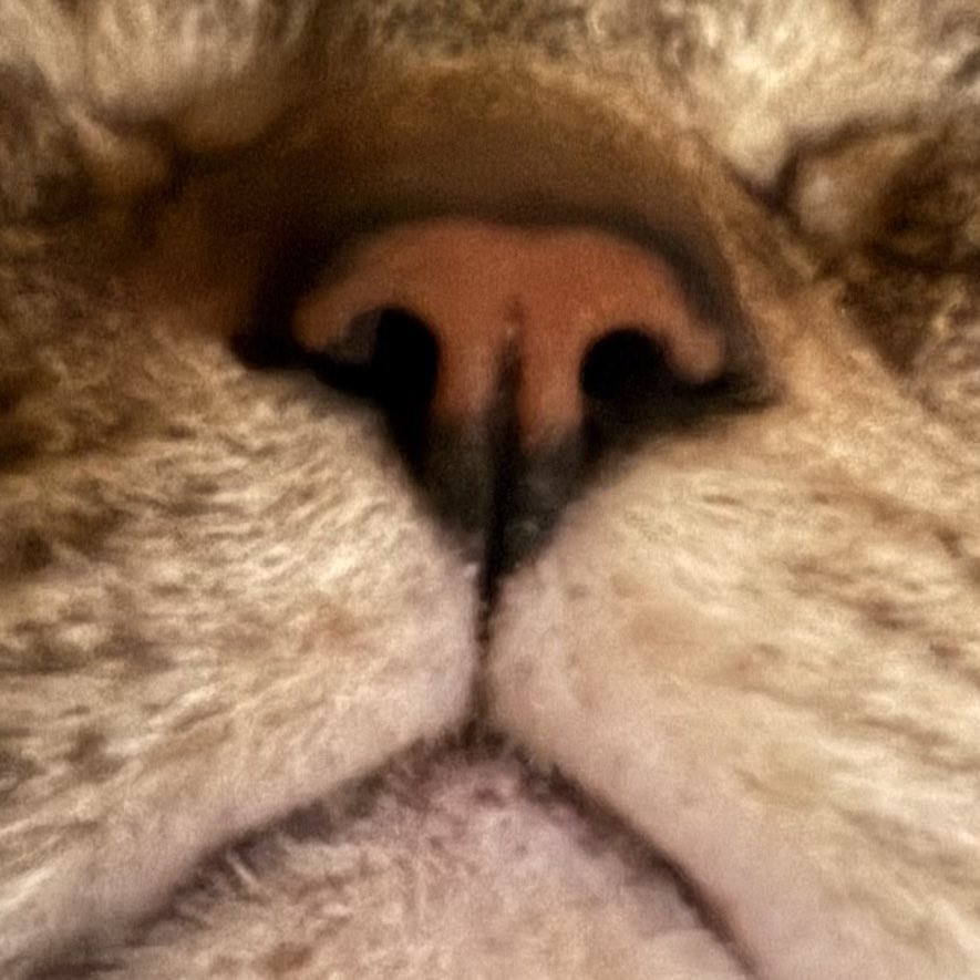 𝙼𝙰𝚃𝚂𝚄 tweet media