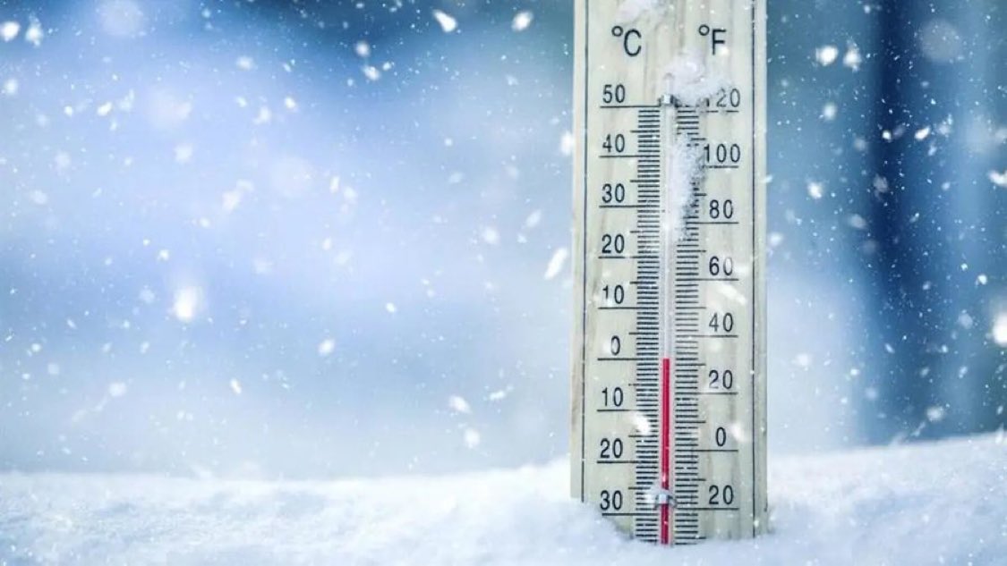 قورجس tweet media