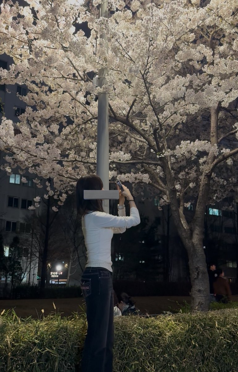 쮸냥이 tweet media