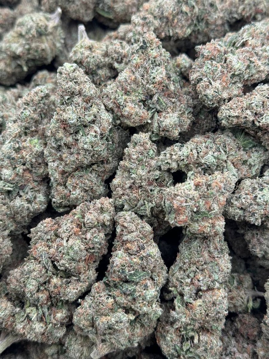 centralplug420's tweet photo. Slow Down Stop & Smell The Roses🍃This Strain is " Kush Mints x Zskittles bx3" Crazy terps 😤 Doing DROPS on HP'S 🛒TapN📱https://t.co/cQ7OiodAlQ
#Dallas #dfw #dtx #Atlweed #AtlZa #Atlfreaks #GSU #KSU #Atlts #CAU #Mobileplug #phillymeetups #phillylinks #dmvfreaks #bmorefreaks https://t.co/9gg6GPm4j5