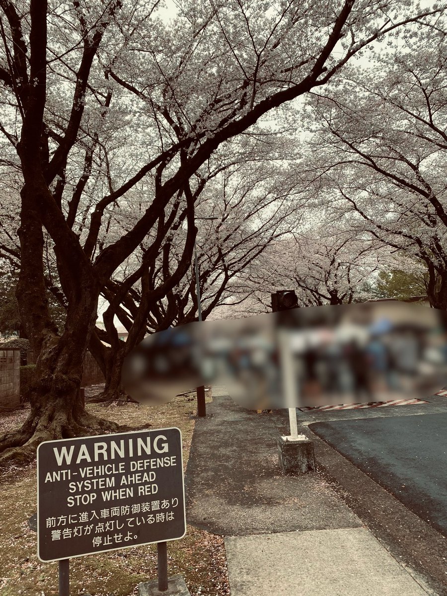 Pヨシ 7.5G tweet media