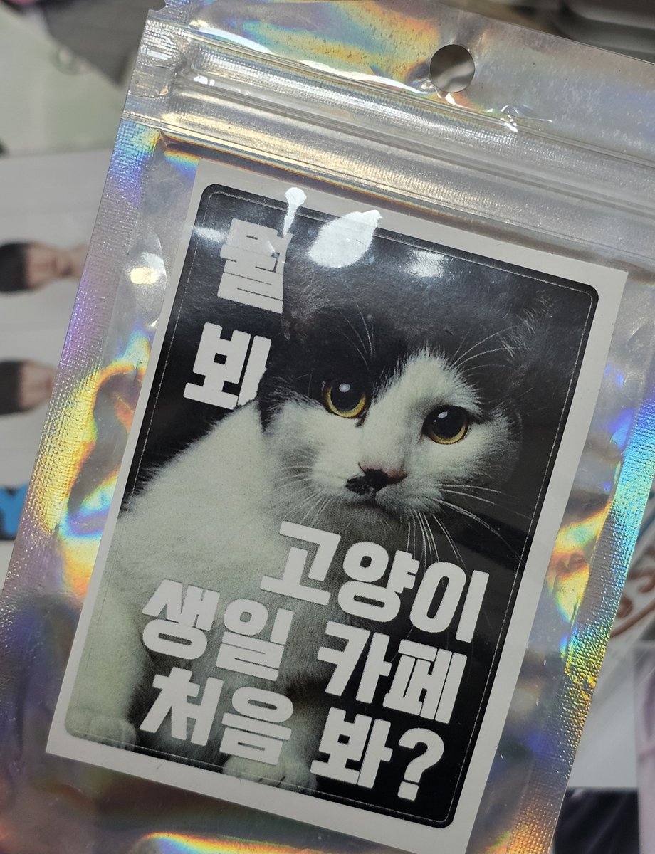 뚜 tweet media