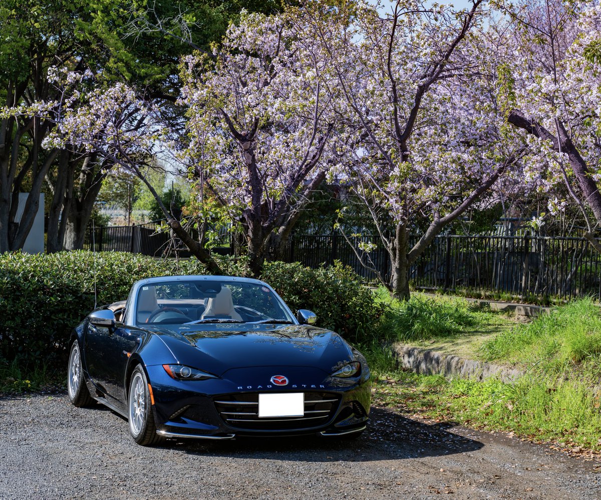 ND2:Ryusei tweet media