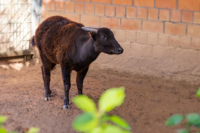 Late Mood Activated 🌙 tweet media