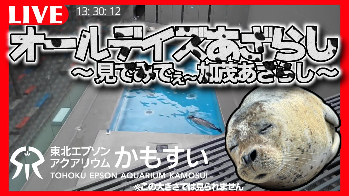 東北エプソンアクアリウムかもすい（鶴岡市立加茂水族館） tweet media