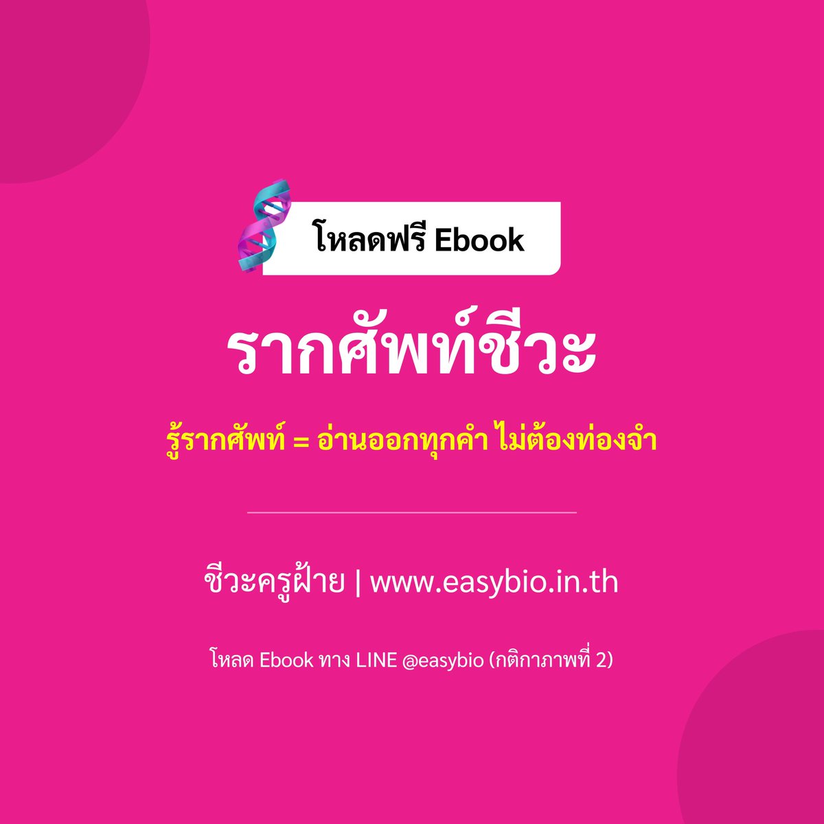 ชีวะครูฝ้าย🧠🌟#dek70 tweet media