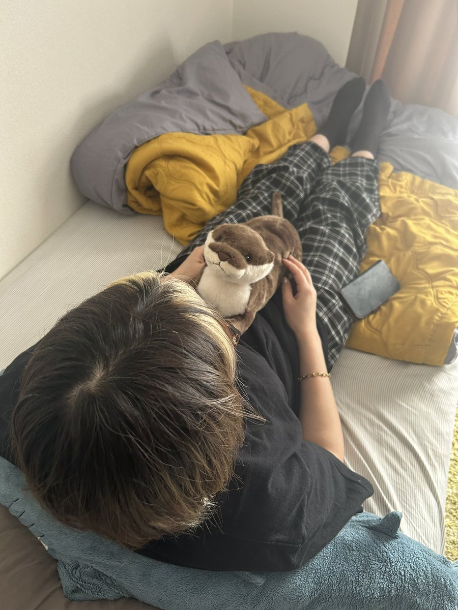 きくもとちゃんだよ tweet media