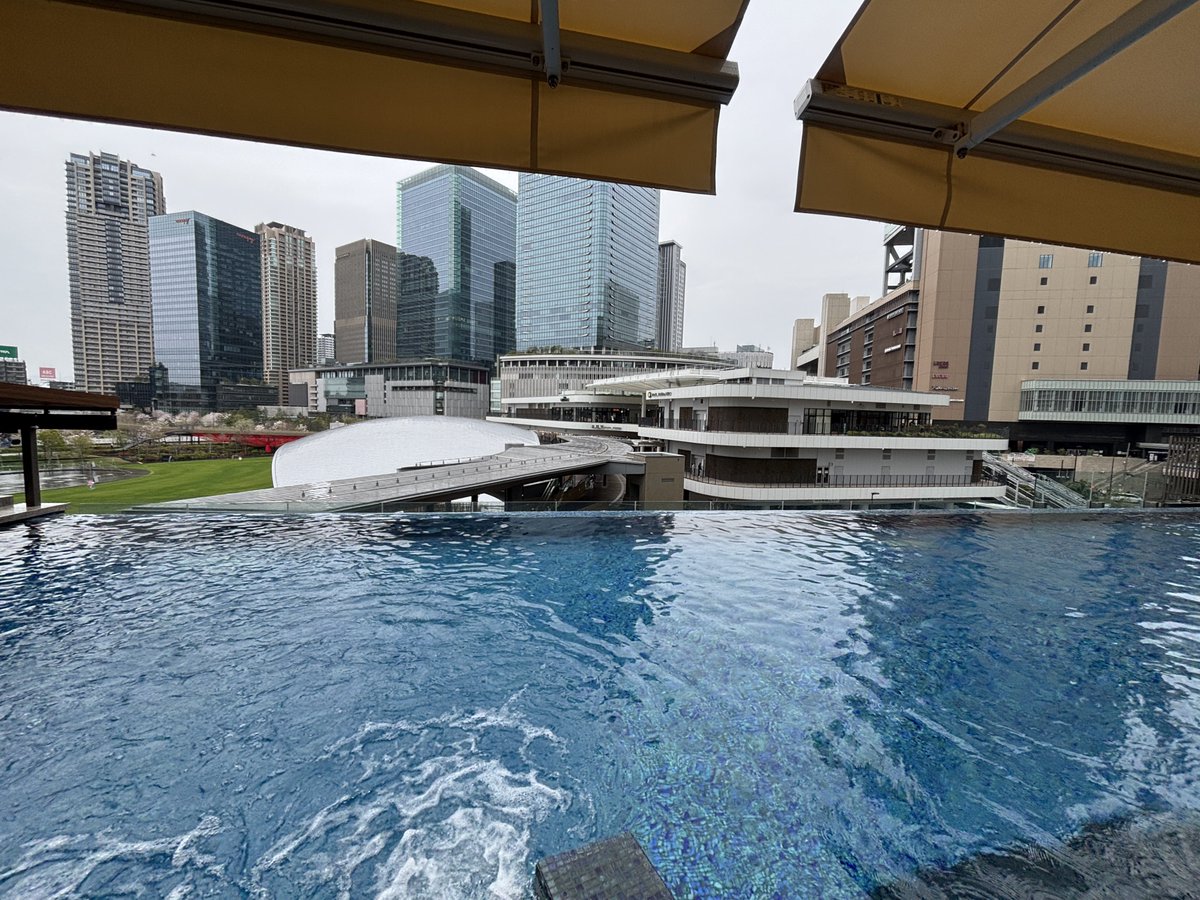 柳透🌴大阪応援VTuber🍶🐟 tweet media