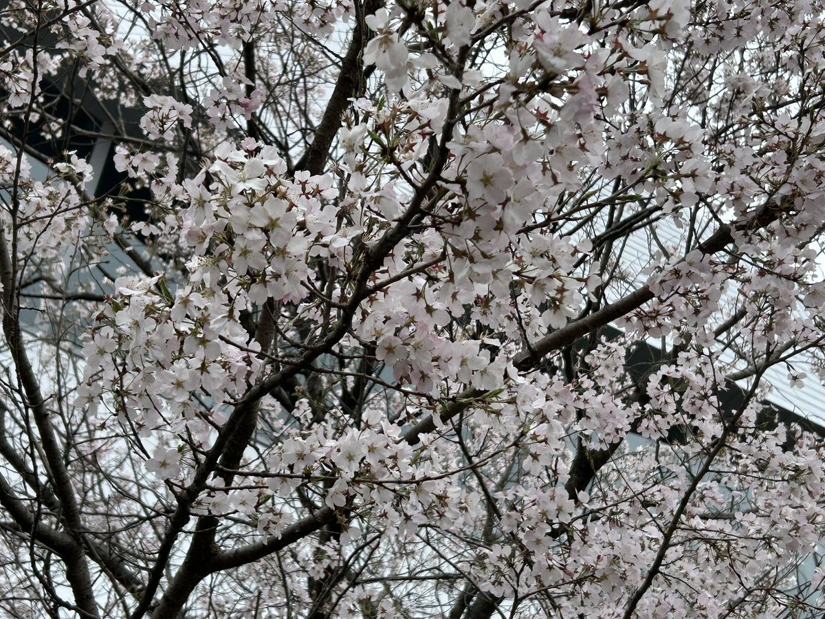 ビール彼氏が大好きな♡いぱちゃむ☠︎☠︎ tweet media