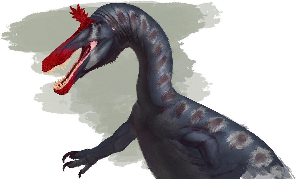 VuonggTwT 🇻🇳 tweet media