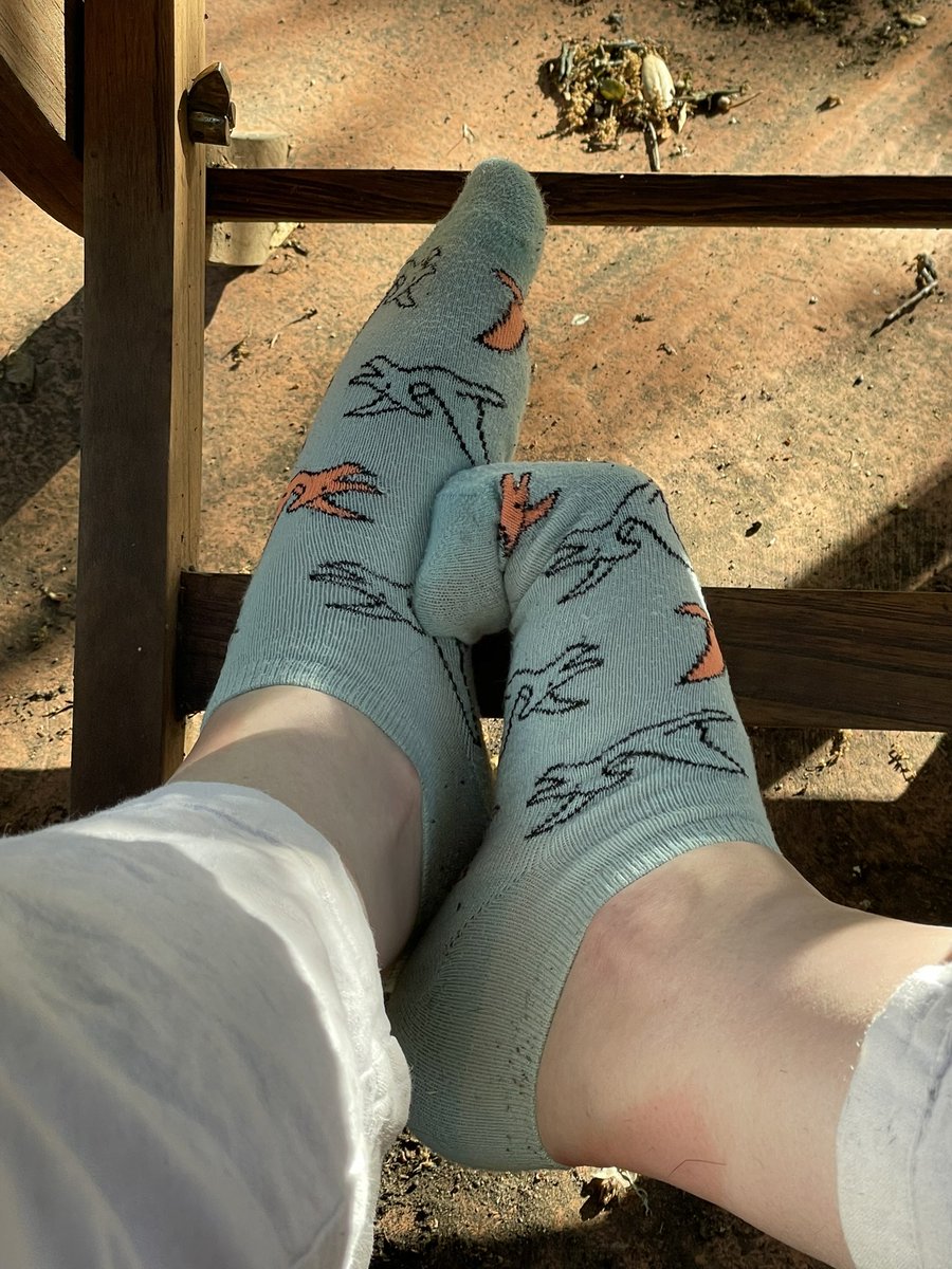 anna !!! :)) 🇵🇸🌸✨🌸🇵🇸 tweet media