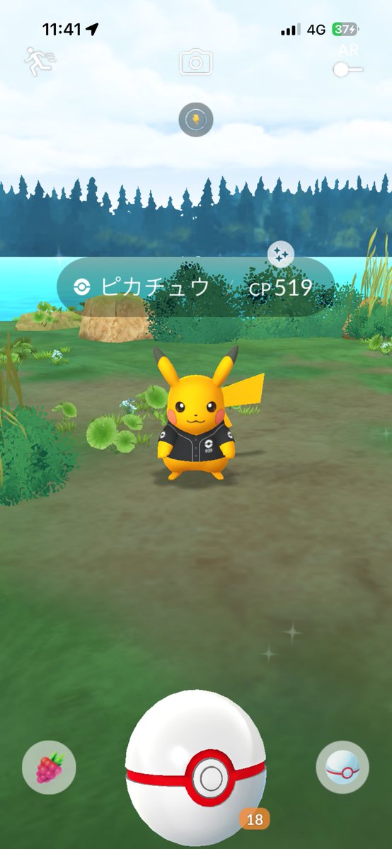 ゆげりん🐑 tweet media