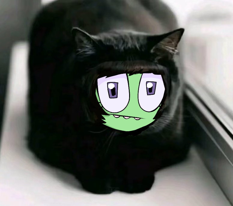 Salty🪲 tweet media