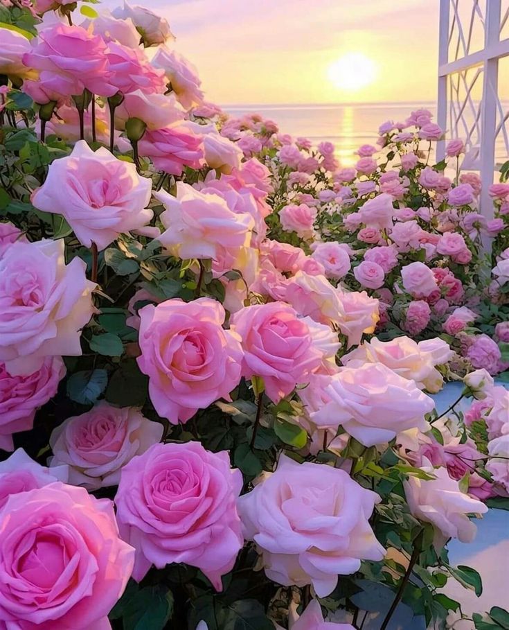 JJackie1974's tweet image. #weekendjoy