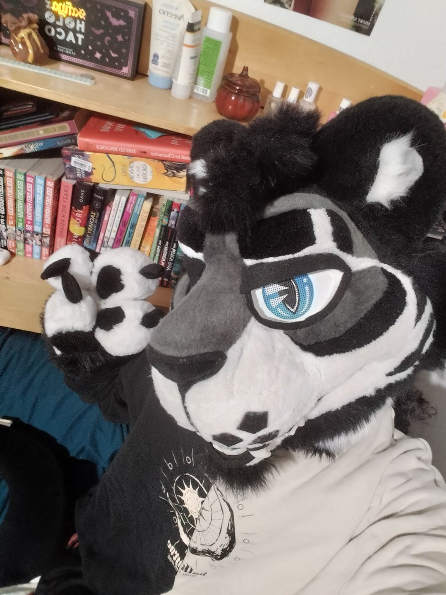 Cobalt Kitty tweet media
