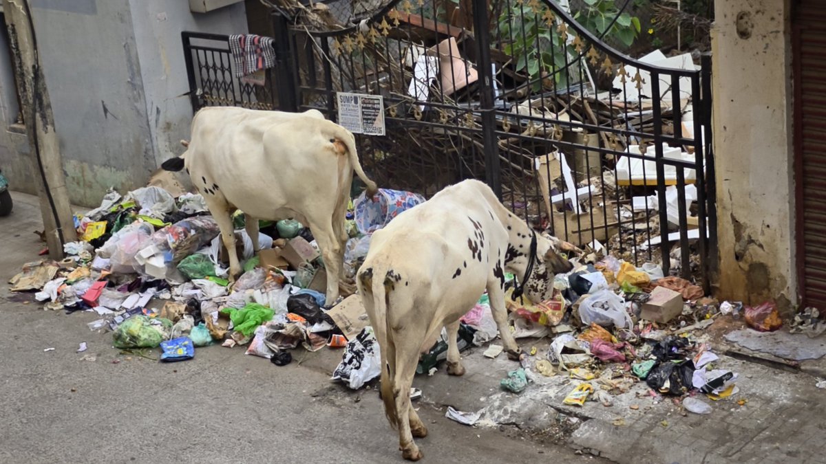 asterixu605 tweet media