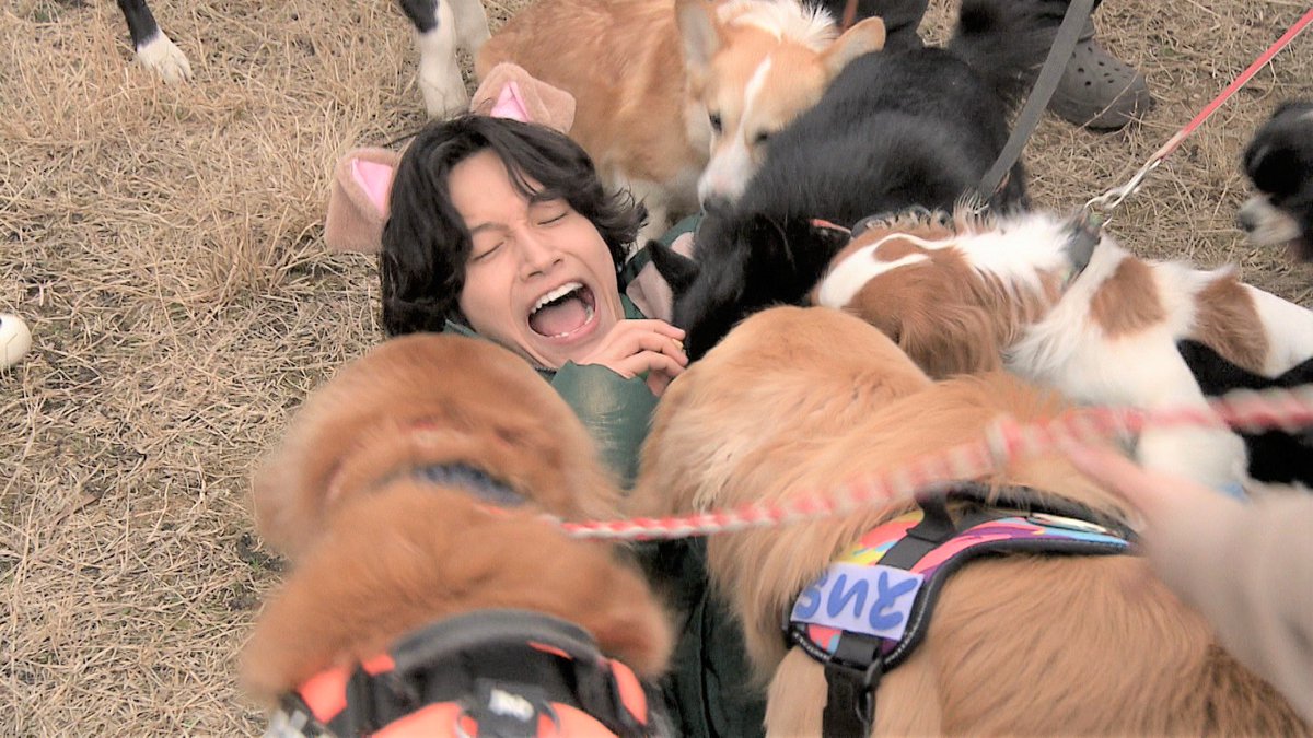 【公式】あっちこっちAぇ! tweet media