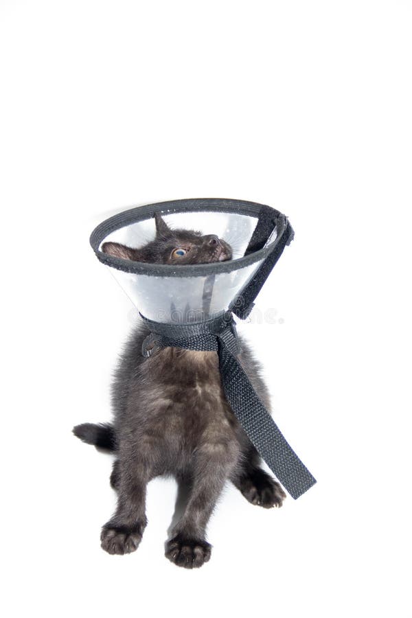 🐺ˣʰjjamᵇᵗˢ🐰 tweet media