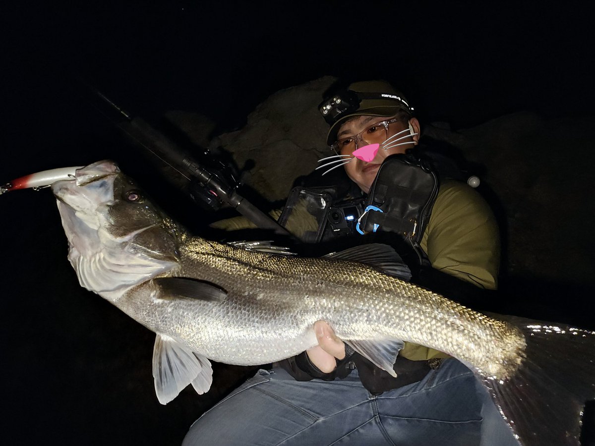 中馬貴寛 tweet media