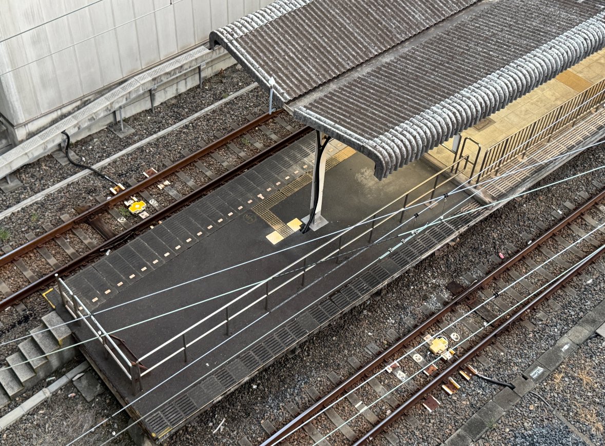 遠く東オク tweet media