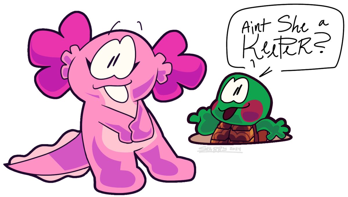 Cory the Turtle tweet media