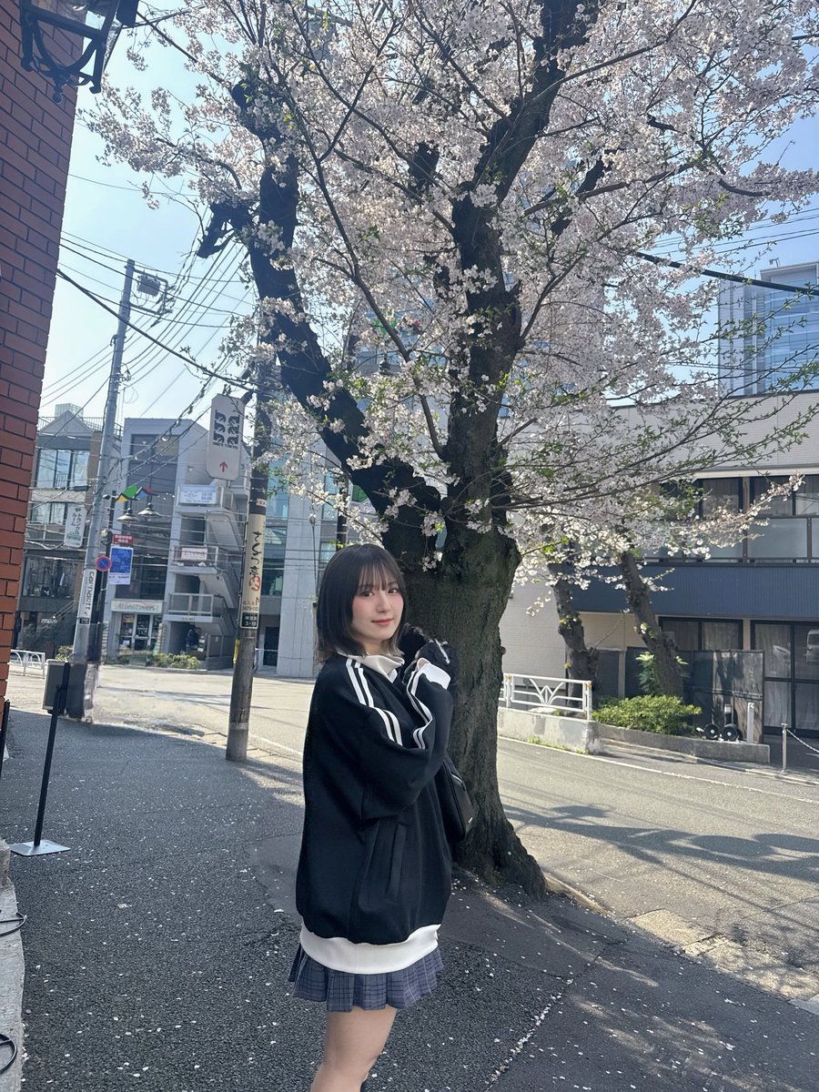 こぞう！！！！ tweet media