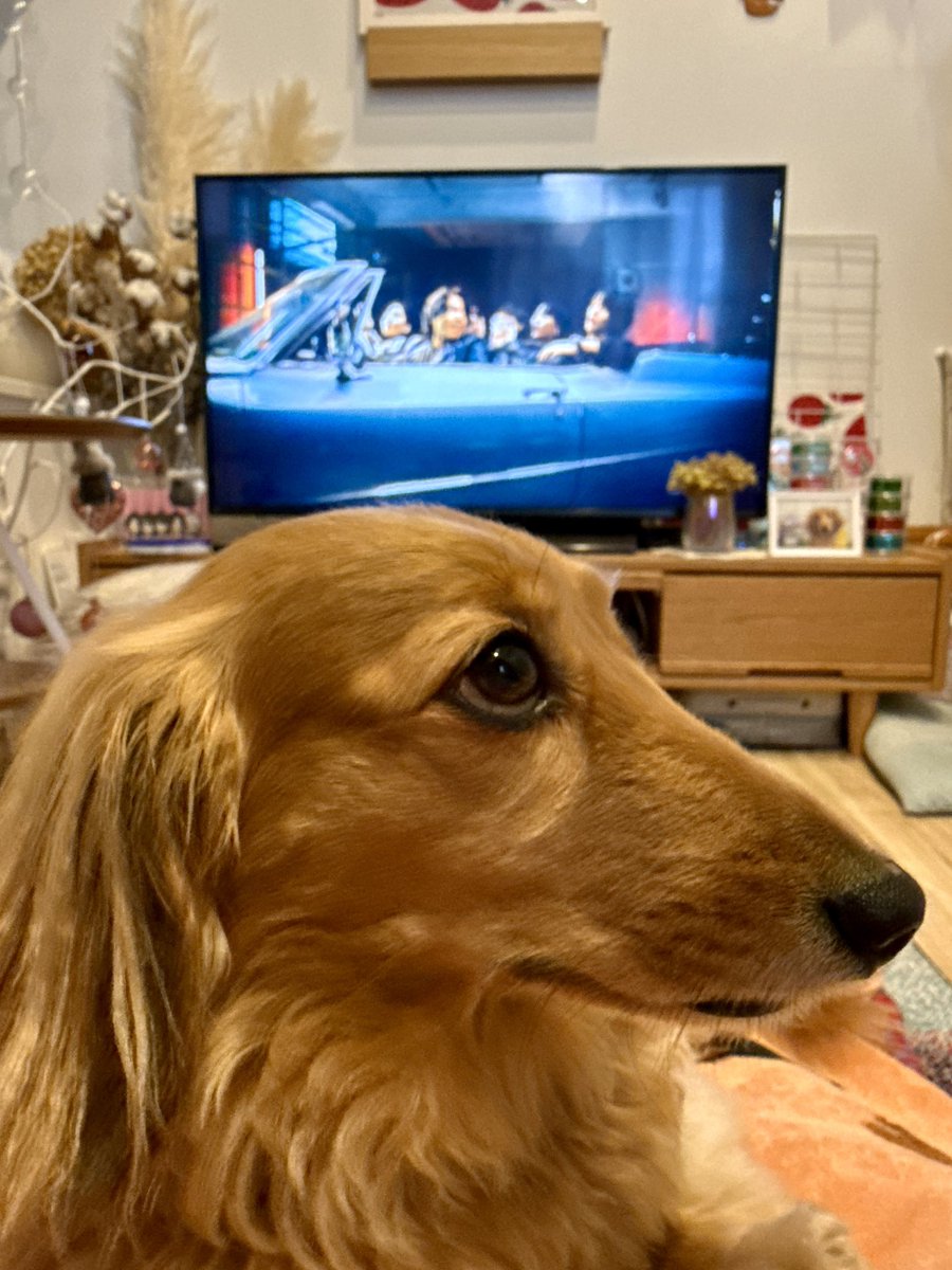 もなか tweet media