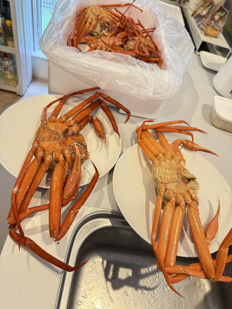 すもはぴチャンネル@すももとHAPPY車中泊 tweet media