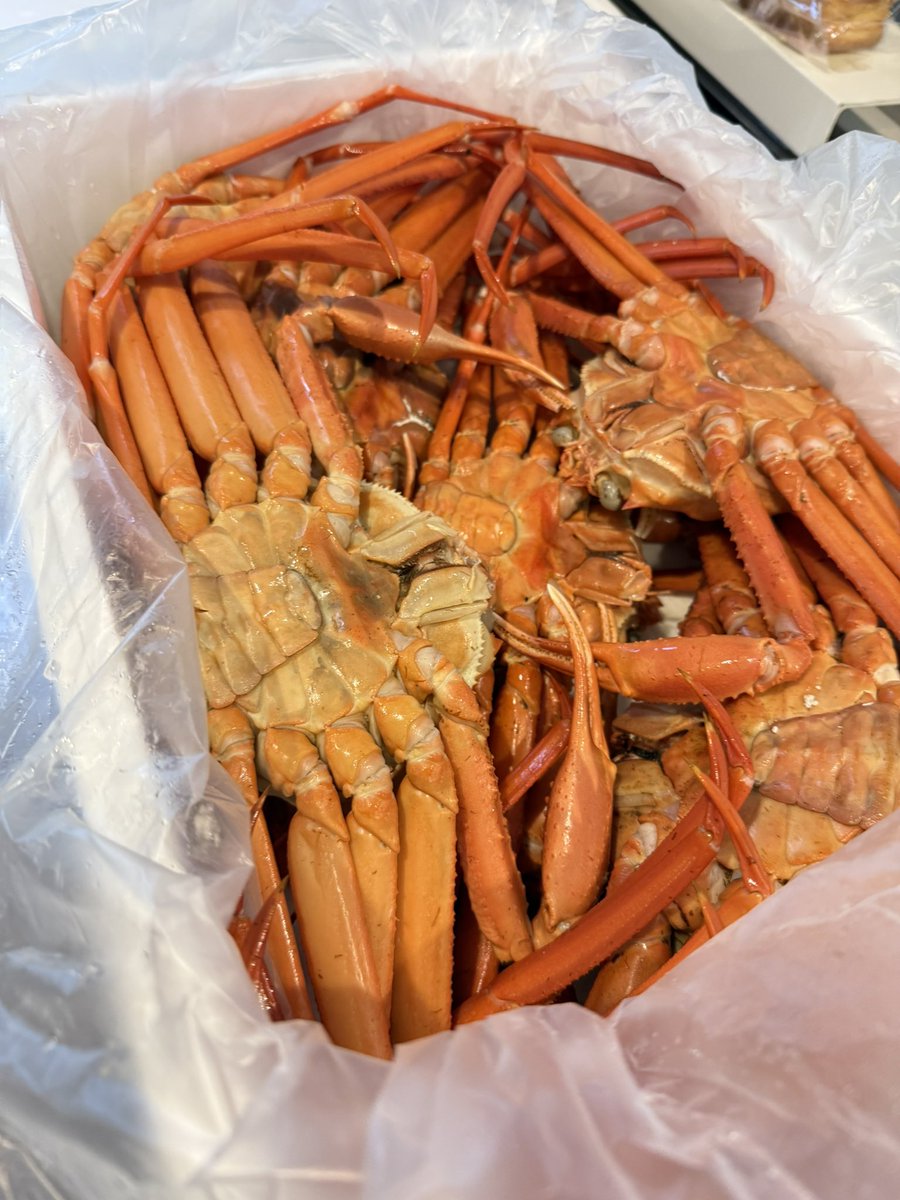 すもはぴチャンネル@すももとHAPPY車中泊 tweet media