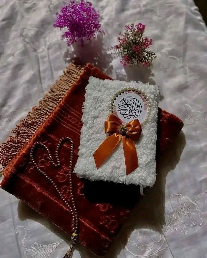 কুল্লু নাফসিন জাইকাতুল মাউত 
মৃত্যুর স্বাদ একদিন সবাইকে গ্রহণ করতে হবে। 🥲😔