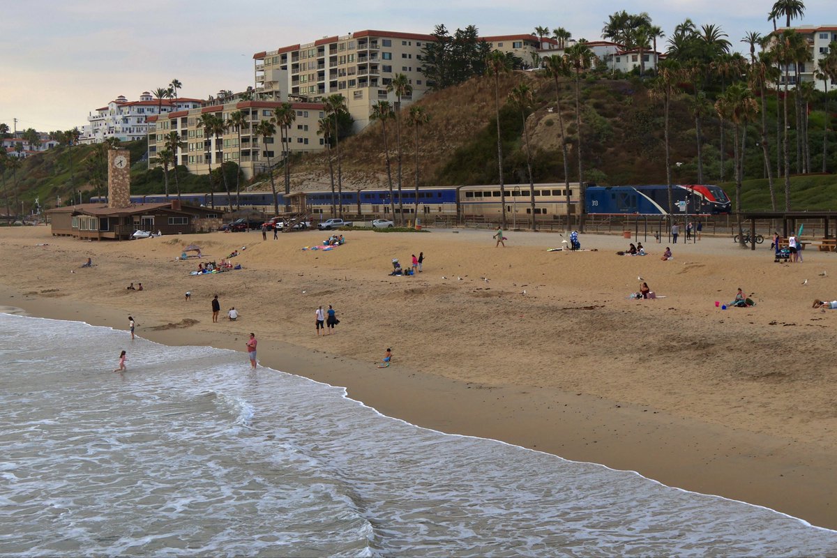 せっかちなたると tweet media