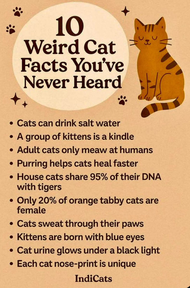 Pagan Sky tweet media