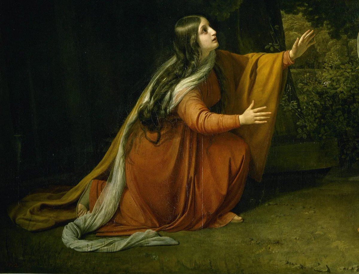 Aquila Report tweet media