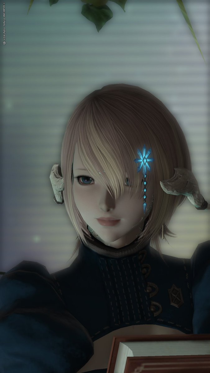 心を無にしてお仕事して来ます。
今日は遅番。
#FF14