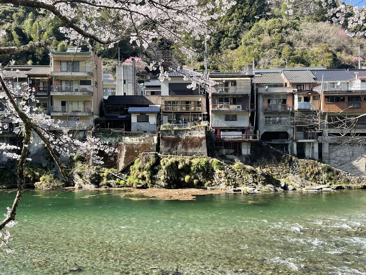 Shunsuke Hori / 堀俊介 tweet media