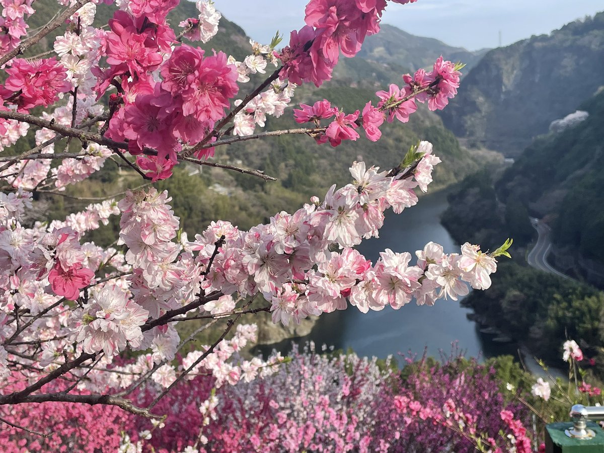 Shunsuke Hori / 堀俊介 tweet media