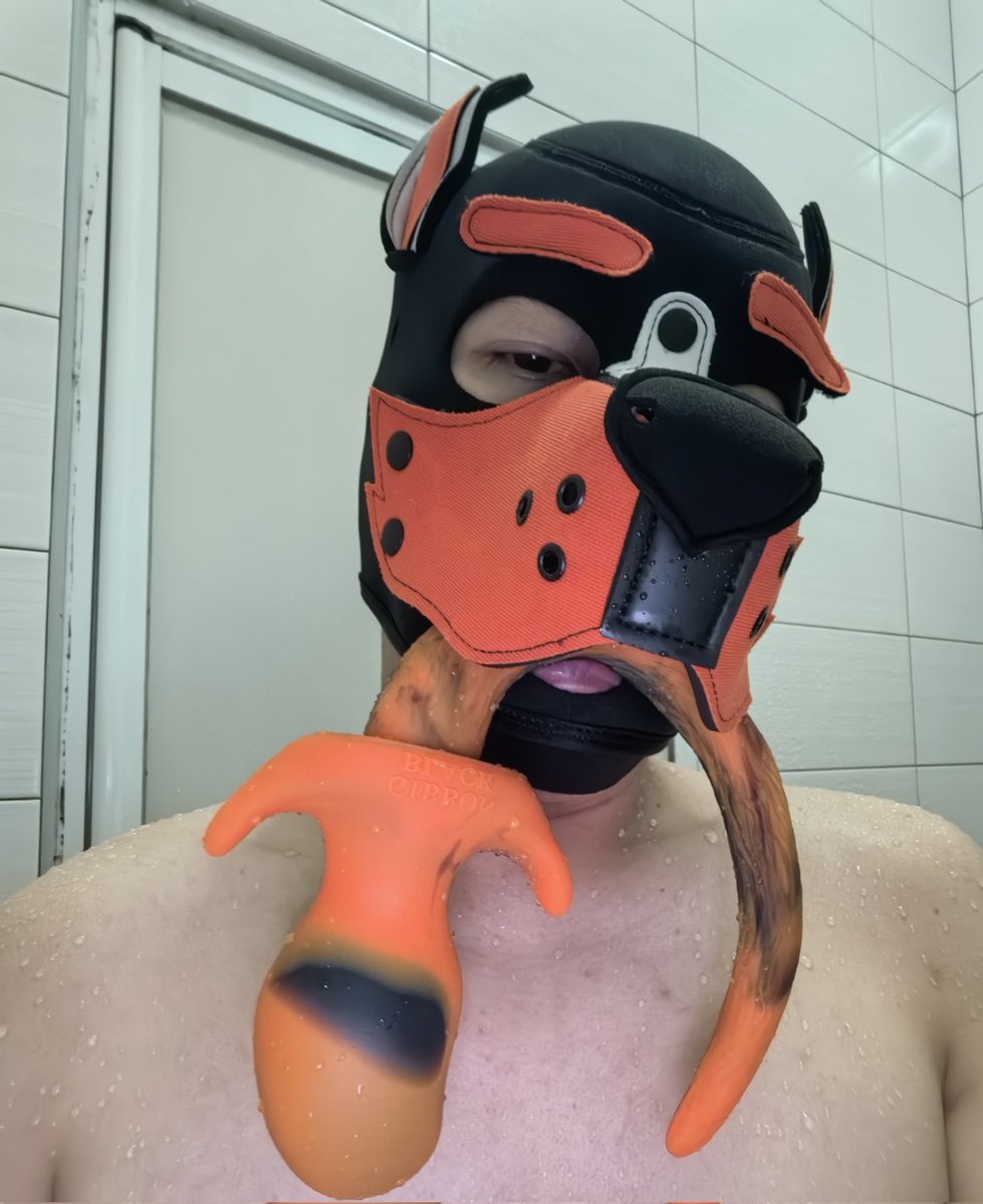 zenvyx_rubo tweet media