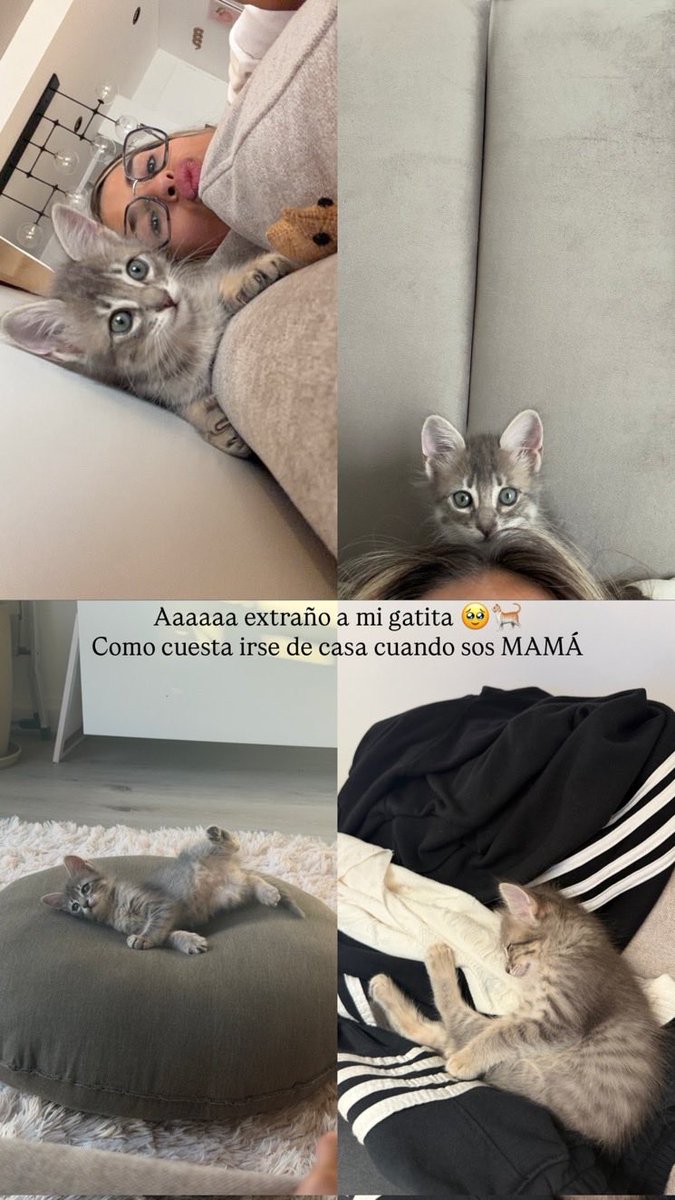 Candee💫🤍 tweet media