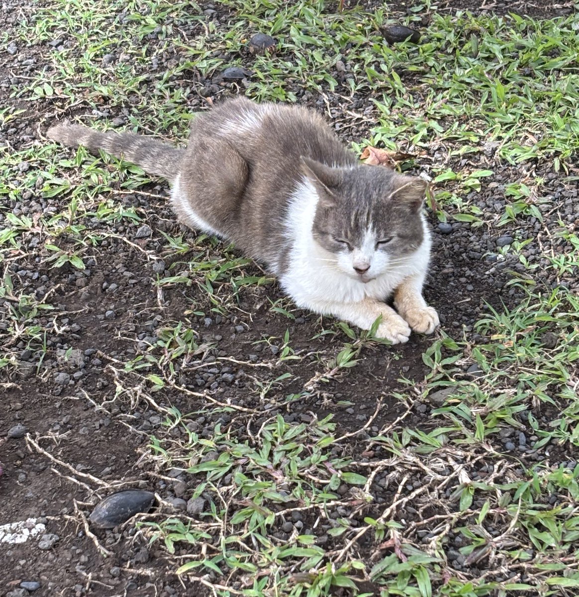 sami 🦇 tweet media